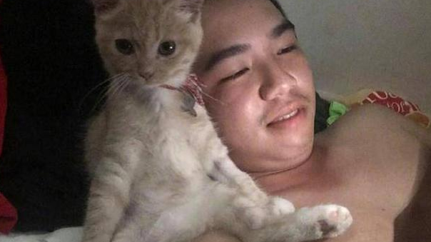 男主让猫咪一起追剧,五分钟还不到就对上眼,一看表情忍不住笑了 男主让猫咪一起追剧,五分钟还不到就对上眼,一看表情忍不住笑了