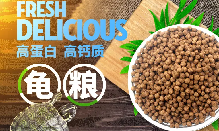 奈宠龟粮：龟粮如何正确选择？