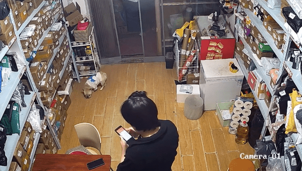 男子取快递时狗狗在驿站撒尿，老板不满骂了一句，双方就扭打起来