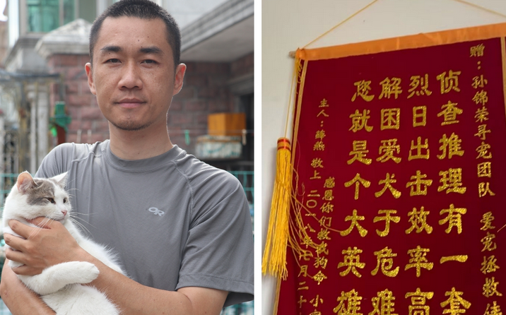 宠物侦探:10年“猫狗游戏”背后的冷暖故事 宠物侦探:10年“猫狗游戏”背后的冷暖故事