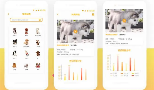 宠物市场app可靠吗 宠物市场app可靠吗
