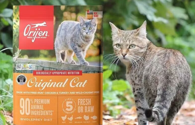 原始猎食渴望怎么样？从这两个方面看