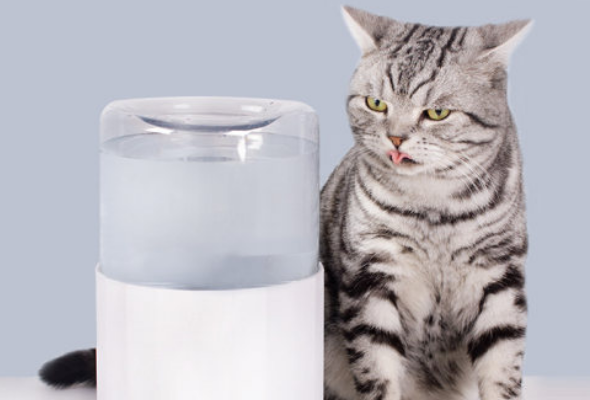 美芙猫咪饮水机怎么样? 美芙猫咪饮水机怎么样?