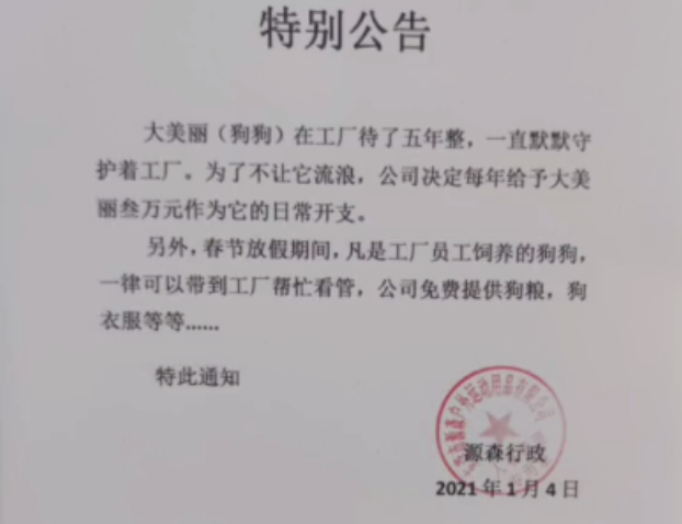 10岁土松犬当保安月薪3000,看门、捉老鼠还兼职模特。一看工资条…哈哈哈! 10岁土松犬当保安月薪3000,看门、捉老鼠还兼职模特。一看工资条…哈哈哈!