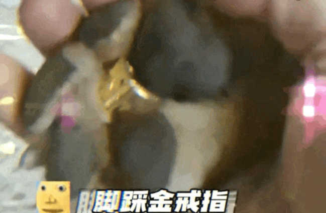 狗子一瘸一拐回来,主人以为它又打架,结果… 狗子一瘸一拐回来,主人以为它又打架,结果…