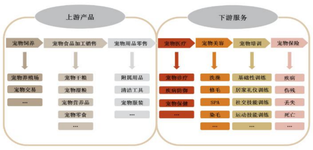 中国养狗比例达60% 养猫比例近40% 聊聊宠物经济发展的痛点与机遇 中国养狗比例达60% 养猫比例近40% 聊聊宠物经济发展的痛点与机遇
