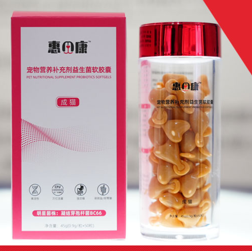 千亿“它”经济爆火,惠贝康宠物益生菌助力宠物肠胃健康 千亿“它”经济爆火,惠贝康宠物益生菌助力宠物肠胃健康