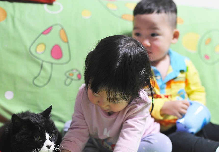 女儿想养宠物猫，遭家长反对而争吵，如何与青春期的孩子有效沟通 