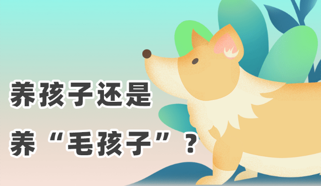 日韩沉迷宠物:猫狗数量超小孩 有人送狗上“幼儿园” 日韩沉迷宠物:猫狗数量超小孩 有人送狗上“幼儿园”