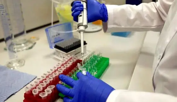 宠物细胞肉食品来了!捷克细胞培养肉公司Bene Meat成为首家获得欧盟认证的宠物食品实验室培育肉类公司 宠物细胞肉食品来了!捷克细胞培养肉公司Bene Meat成为首家获得欧盟认证的宠物食品实验室培育肉类公司