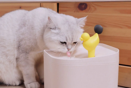 美芙猫咪饮水机怎么样? 美芙猫咪饮水机怎么样?