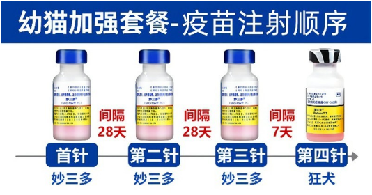 妙三多和英特威哪个好-宠物网