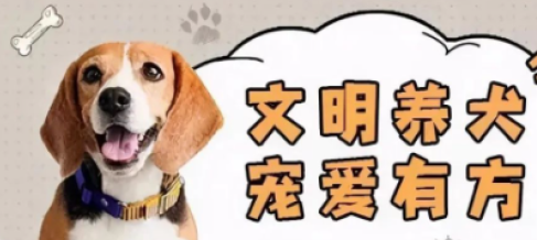 被拴住的宠物伤人谁担责？法院建议：不带犬只进入公共场所