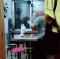 自从家里养了猫,老父亲的娱乐活动就成了跟猫对打!并且乐此不疲 自从家里养了猫,老父亲的娱乐活动就成了跟猫对打!并且乐此不疲