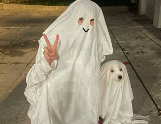万圣节和狗狗一起装扮成幽灵,它模样萌化了众人!狗:你开心就好 万圣节和狗狗一起装扮成幽灵,它模样萌化了众人!狗:你开心就好