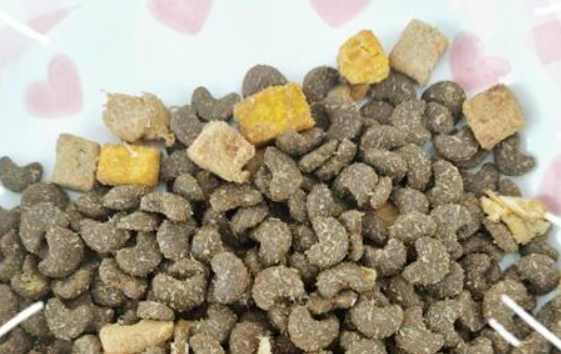 倔强嘴巴猫粮怎么样？从这三方面来详细了解