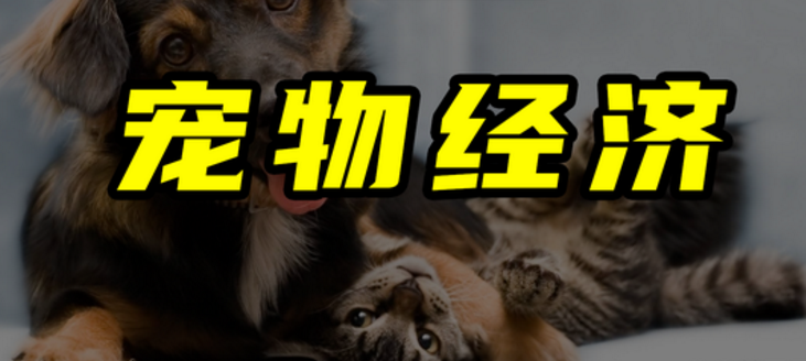 宠物行业背后的资本是一切流浪猫狗问题的元凶