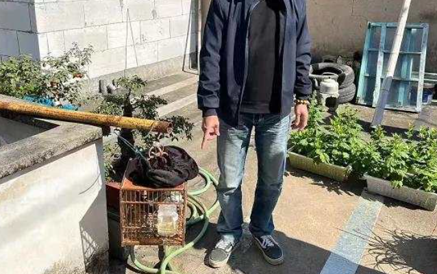 绍兴养鸟人士注意 警方提醒:这些鸟类统统不能养! 绍兴养鸟人士注意 警方提醒:这些鸟类统统不能养!