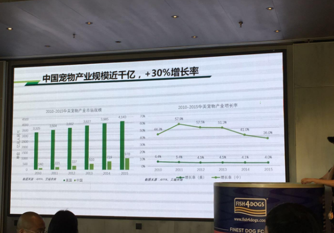 “宠物经济”也疯狂 “宠物经济”也疯狂