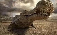 世界上最大的远古鳄鱼