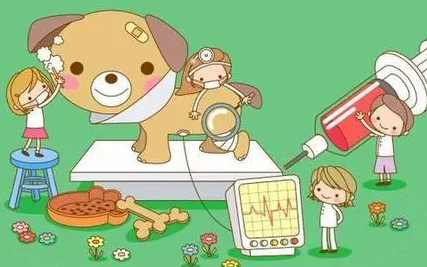 众安宠物保险品牌靠谱吗?来了解下吧 众安宠物保险品牌靠谱吗?来了解下吧