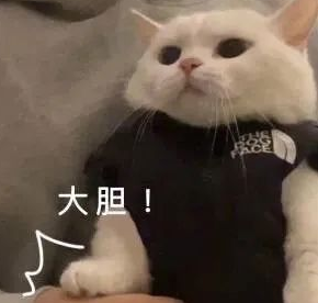 猫咪喜欢“四脚朝天”躺地上，不是跟你玩，而是在给你信号～