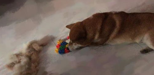 捣乱:人家九寨沟金秋飘雪,你个柴犬跟什么风,非弄个漫天狗毛 捣乱:人家九寨沟金秋飘雪,你个柴犬跟什么风,非弄个漫天狗毛