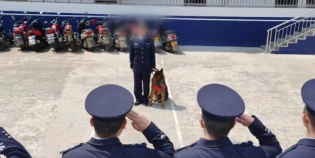 退役警犬“离家出走”,回望一瞬看哭了 退役警犬“离家出走”,回望一瞬看哭了