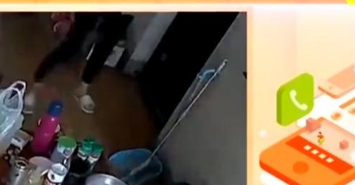 送货被客户的宠物狗咬伤拒绝,对小哥的索赔也被拒绝,听了顾客的 送货被客户的宠物狗咬伤拒绝,对小哥的索赔也被拒绝,听了顾客的