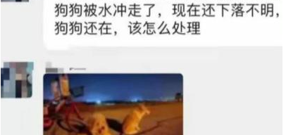 广东一男子在江堤边遛狗,不幸被狗拽入江水中,现仍在搜寻中 广东一男子在江堤边遛狗,不幸被狗拽入江水中,现仍在搜寻中