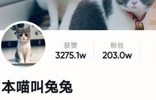 本喵叫兔兔在哪里领养 本喵叫兔兔在哪里领养