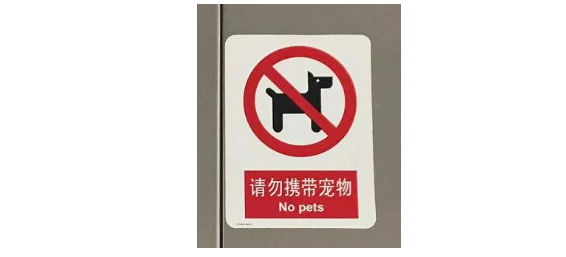 大爷在地铁里满车厢抓鹦鹉? 大爷在地铁里满车厢抓鹦鹉?
