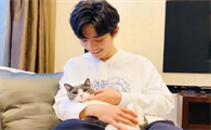 肖战的猫是什么品种