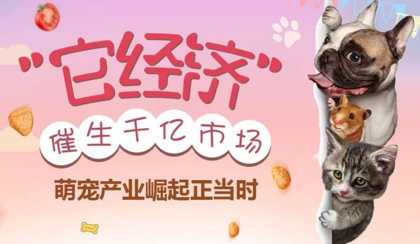 宠物经济催生市场新需求 宠物经济催生市场新需求