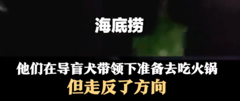 导盲犬带主人吃火锅,5人1狗全迷路 导盲犬带主人吃火锅,5人1狗全迷路