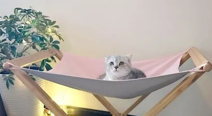 肥脸猫屋宠物吊床:舒适与便捷的猫猫休息空间 肥脸猫屋宠物吊床:舒适与便捷的猫猫休息空间