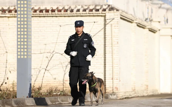 警犬“评职称”现场！来看西安现场报道！