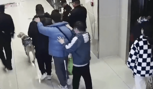 导盲犬带主人吃火锅迷路 网友:是导盲犬不是导航犬 导盲犬带主人吃火锅迷路 网友:是导盲犬不是导航犬