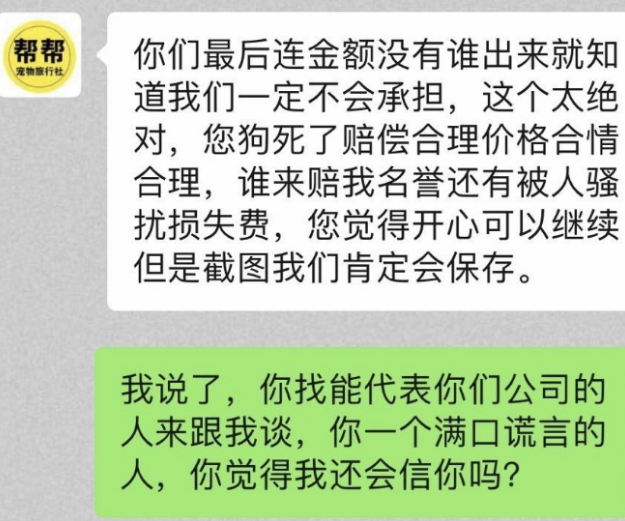 请善待毛孩子,我为金毛Siri发声 请善待毛孩子,我为金毛Siri发声