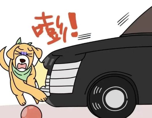 法官，请你为我的狗主持公道！