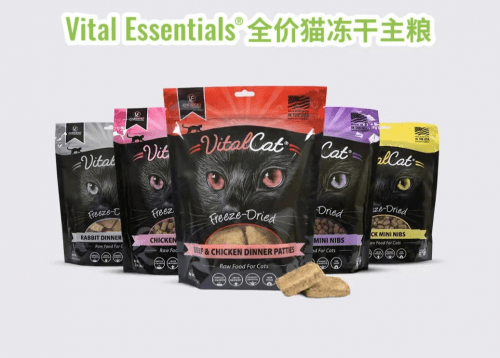 进口猫粮的优质选择 VE纯生王者的全球影响力 进口猫粮的优质选择 VE纯生王者的全球影响力