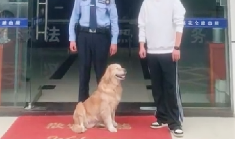 醉酒主人将狗落在出租车上,它自己跑进派出所求助,真是聪明呀! 醉酒主人将狗落在出租车上,它自己跑进派出所求助,真是聪明呀!