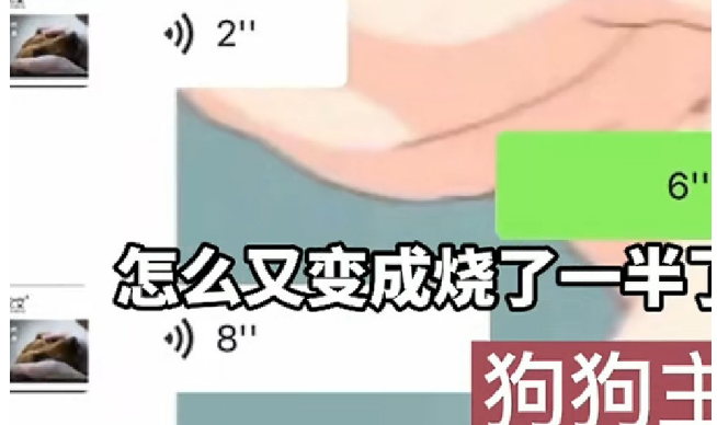 狗狗过世送去火化,店家:炉子坏了,烧了一半,主人听后情绪崩溃 狗狗过世送去火化,店家:炉子坏了,烧了一半,主人听后情绪崩溃