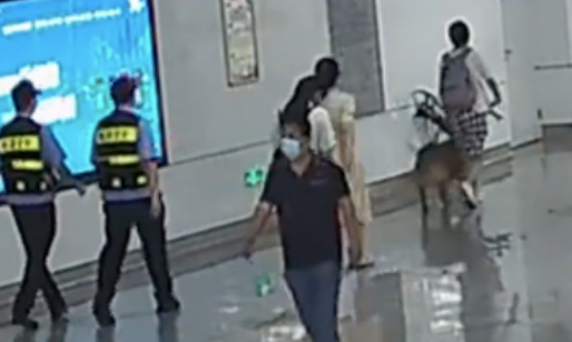 发现女孩带导盲犬坐地铁，警察悄悄跟随守护400多天…