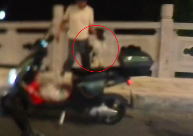 女生遇狗贩子抓流浪狗,鼓足勇气骑车去拦截!结果舒适却有遗憾! 女生遇狗贩子抓流浪狗,鼓足勇气骑车去拦截!结果舒适却有遗憾!