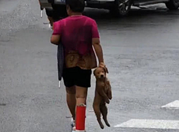 远看一位大妈在过马路，手里还拎着条狗，看清后：画面过于熟悉