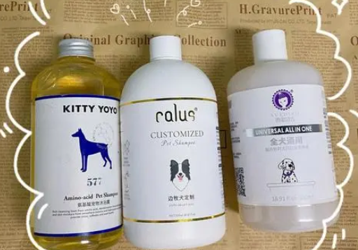 卡露诗宠物沐浴露的使用注意事项,get一波! 卡露诗宠物沐浴露的使用注意事项,get一波!