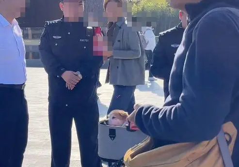 女子欲带狗进入博物馆遭拒，网友：狗懂什么？不看参观须知吗