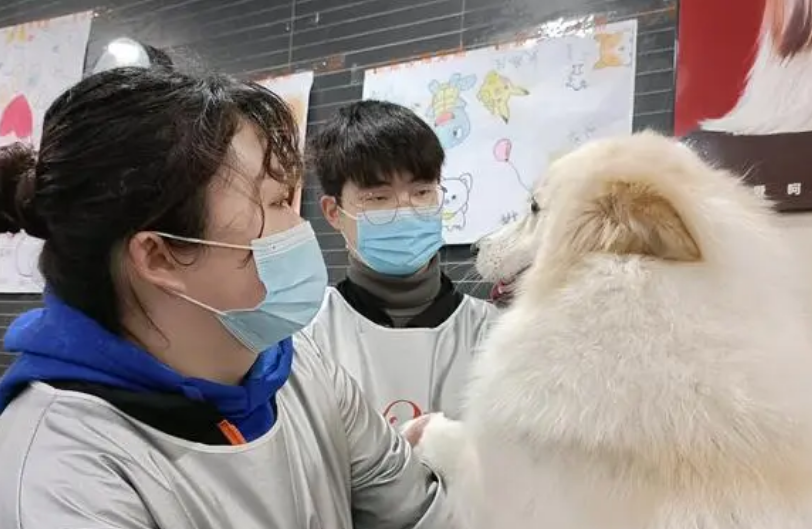 宠物经济扩容催生更多新职业 宠物经济扩容催生更多新职业