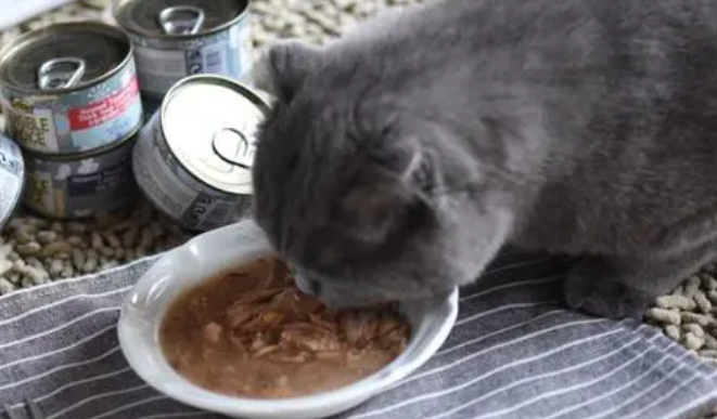 自制浓汁猫罐头